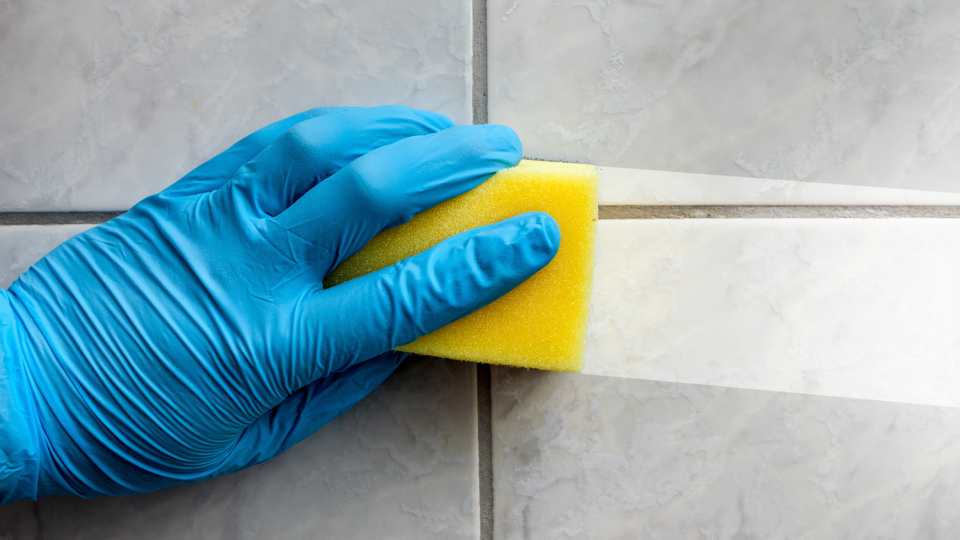 Deep cleaning service image